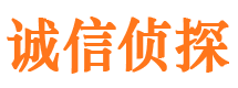 屏山商务调查